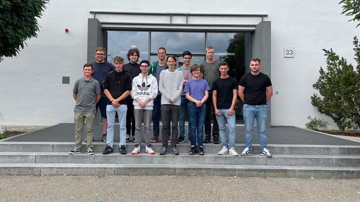 farne sonnenverträglich Anfänger Farn